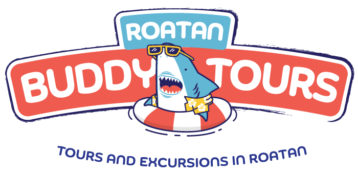 roatan-buddy-tours-logo-retina