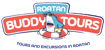 roatan-buddy-tours-logo